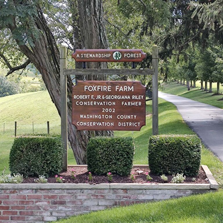 Foxfire Farm LLC | Registered Black Angus Since 1980